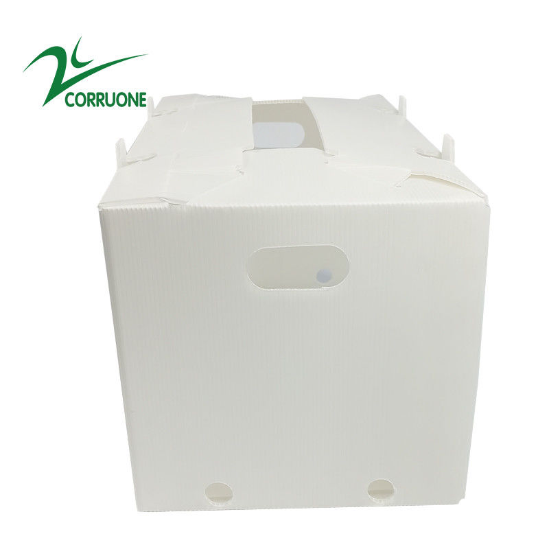 scatole di plastica ondulate pieghevoli vuote di Coroplast Correx del cartone di 2mm-11mm