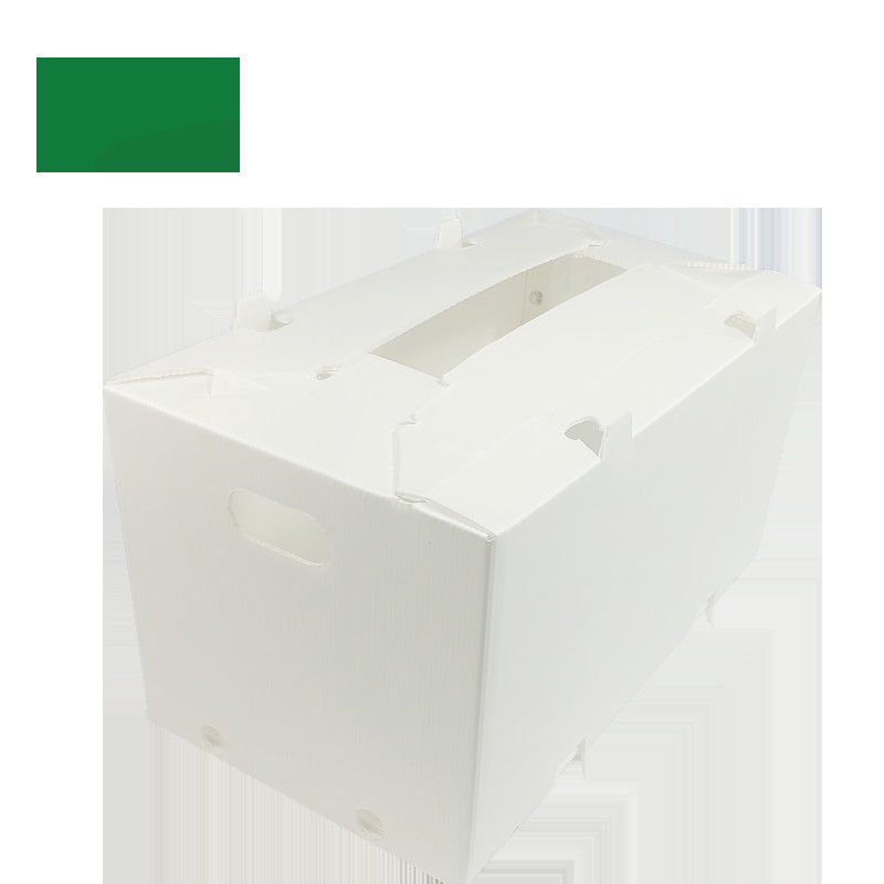scatole di plastica ondulate pieghevoli vuote di Coroplast Correx del cartone di 2mm-11mm
