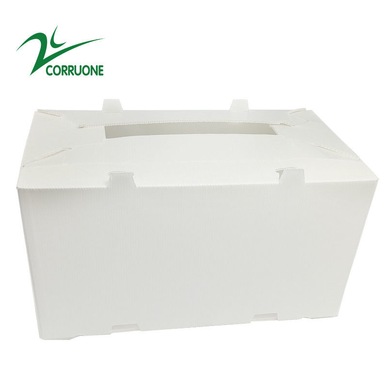 scatole di plastica ondulate pieghevoli vuote di Coroplast Correx del cartone di 2mm-11mm