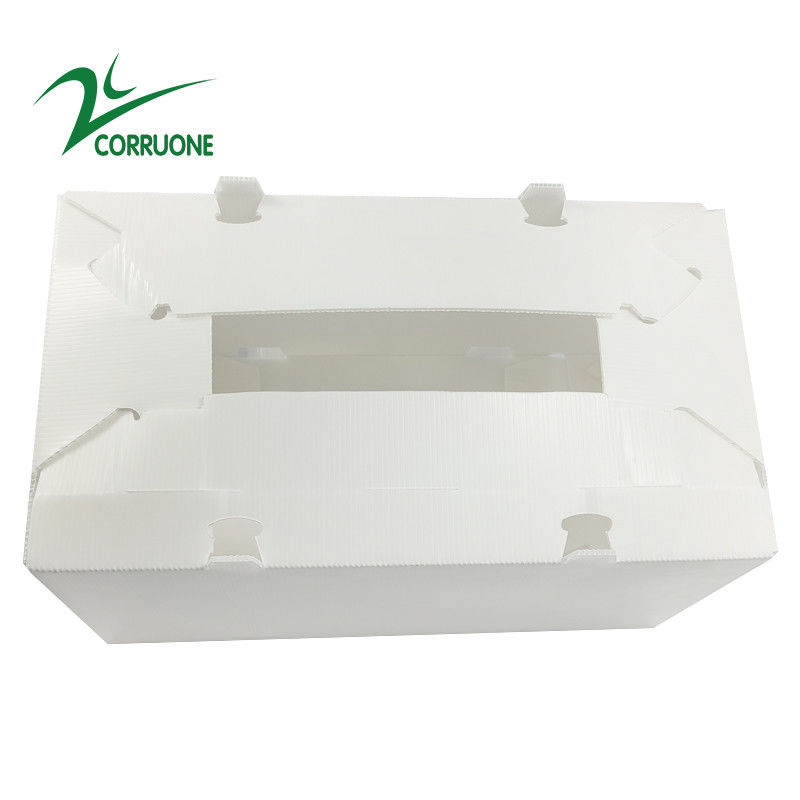 scatole di plastica ondulate pieghevoli vuote di Coroplast Correx del cartone di 2mm-11mm