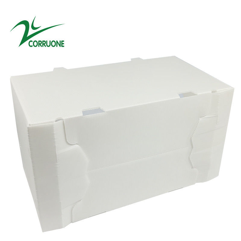 scatole di plastica ondulate pieghevoli vuote di Coroplast Correx del cartone di 2mm-11mm