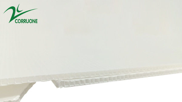 scatole di plastica ondulate pieghevoli vuote di Coroplast Correx del cartone di 2mm-11mm
