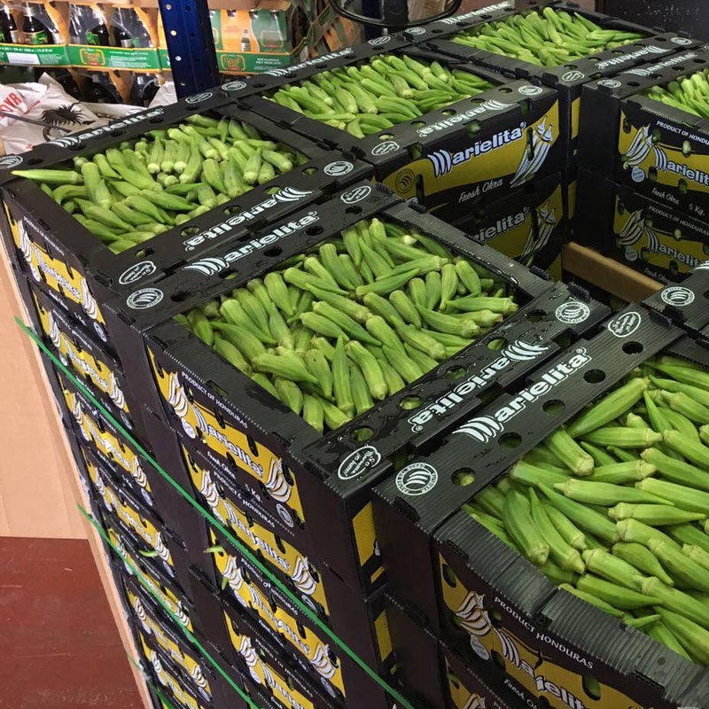 Corriflute nero fruttifica scatole ondulate ha ondulato i contenitori di stoccaggio di plastica