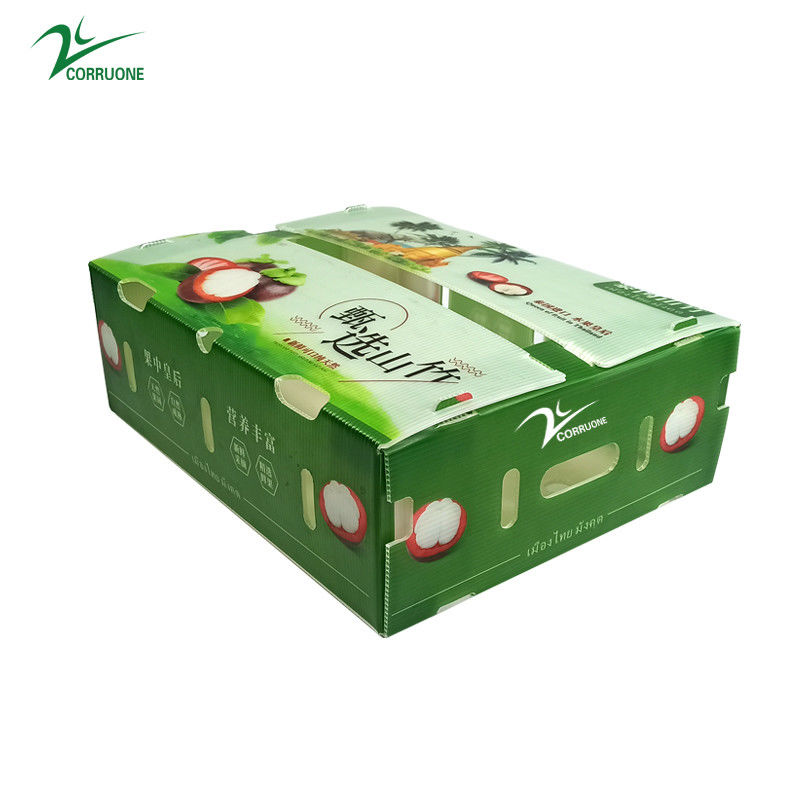 Box in plastica corrugata in PP per ortaggi e frutta Box corflute cortex Corn broccoli e agricoltura Scatole di imballaggio