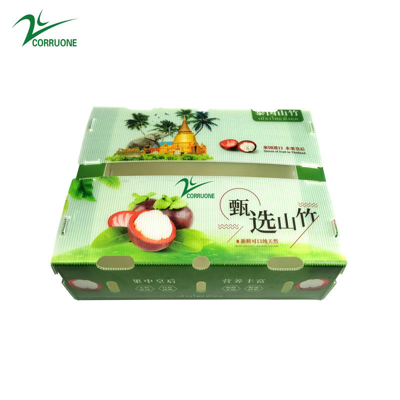 Box in plastica corrugata in PP per ortaggi e frutta Box corflute cortex Corn broccoli e agricoltura Scatole di imballaggio