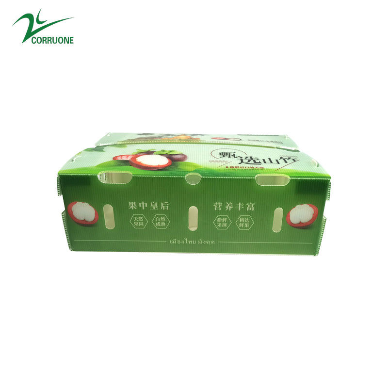 Box in plastica corrugata in PP per ortaggi e frutta Box corflute cortex Corn broccoli e agricoltura Scatole di imballaggio
