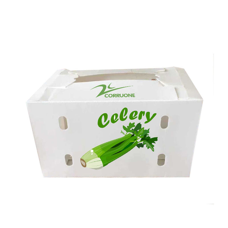 Corriflute nero fruttifica scatole ondulate ha ondulato i contenitori di stoccaggio di plastica