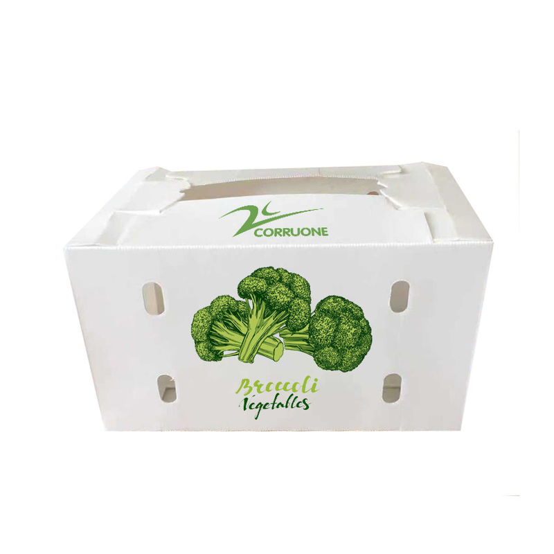 Corriflute nero fruttifica scatole ondulate ha ondulato i contenitori di stoccaggio di plastica