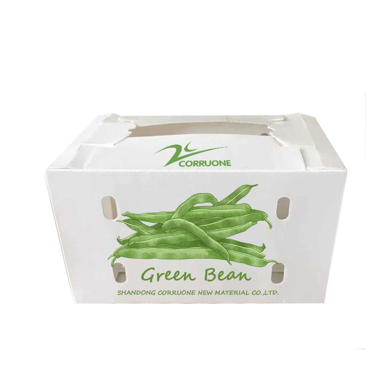 Corriflute nero fruttifica scatole ondulate ha ondulato i contenitori di stoccaggio di plastica