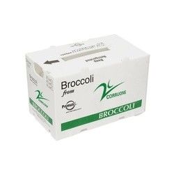 Corriflute nero fruttifica scatole ondulate ha ondulato i contenitori di stoccaggio di plastica