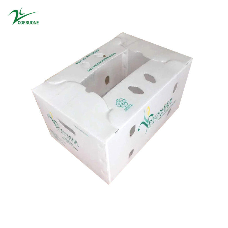 Scatole ondulate per vegetali resistenti agli UV Dimensioni e disegni personalizzati