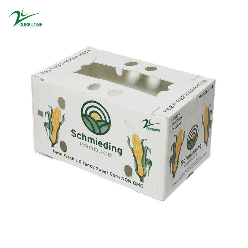 Corregx Fruit Box PP Corrugated Plastic Box per ortaggi e agricoltura