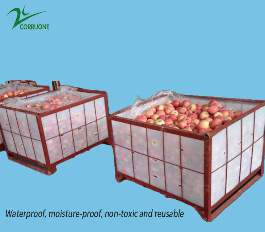 Scatole ondulate di frutta ad alte prestazioni per un'imballaggio ottimale per l'industria agricola