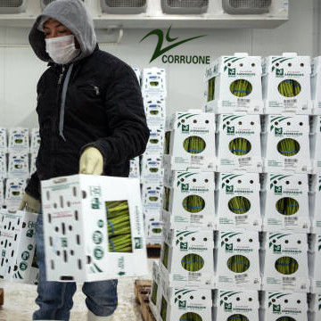 Scatole ondulate di frutta ad alte prestazioni per un'imballaggio ottimale per l'industria agricola