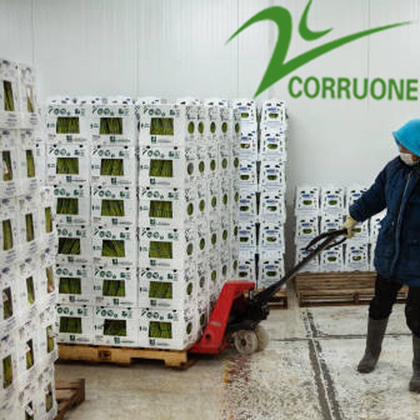 Scatole ondulate di frutta ad alte prestazioni per un'imballaggio ottimale per l'industria agricola