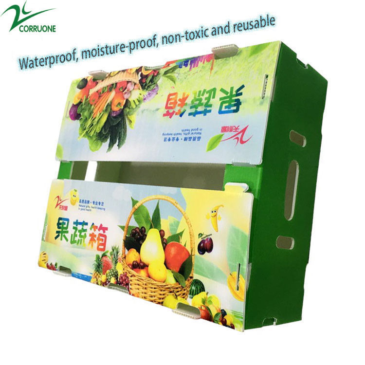 Corriflute nero fruttifica scatole ondulate ha ondulato i contenitori di stoccaggio di plastica