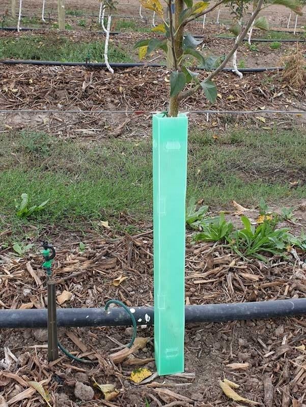 Corruone Cina Vendita a caldo Protezioni per alberi in plastica corrugata in PP impermeabile