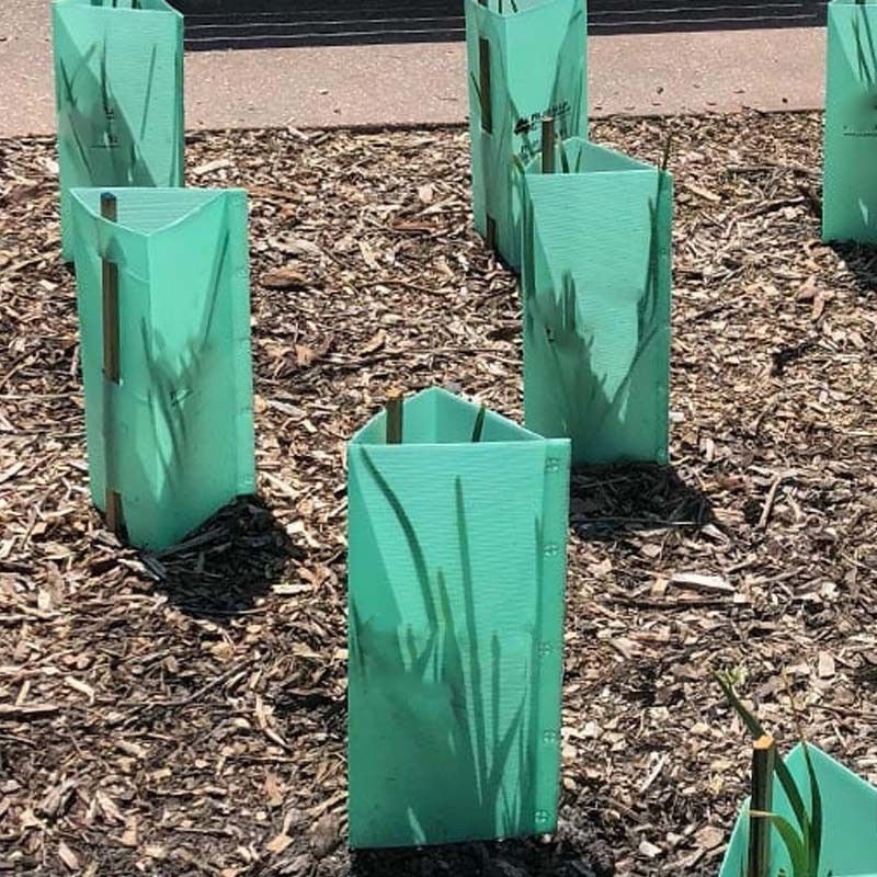 Corruone Cina Vendita a caldo Protezioni per alberi in plastica corrugata in PP impermeabile