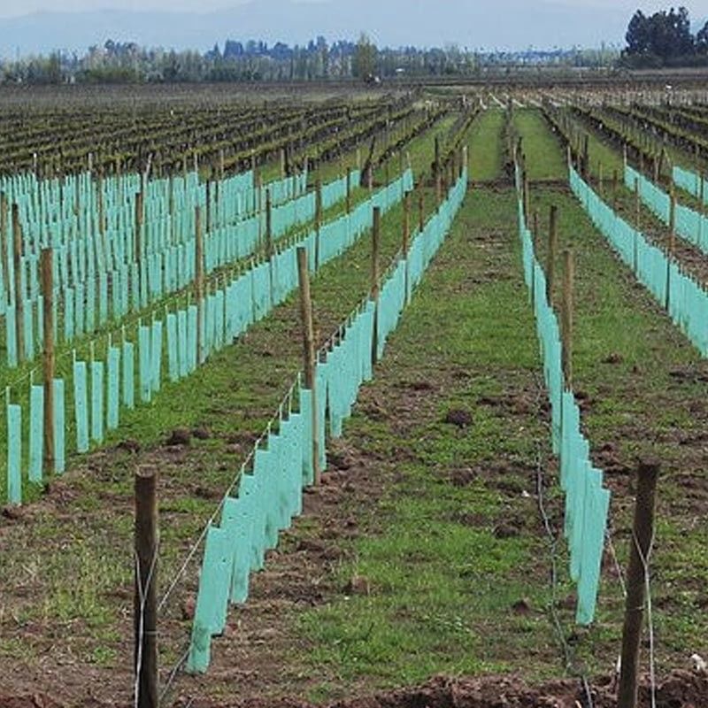 Corruone Cina Vendita a caldo Protezioni per alberi in plastica corrugata in PP impermeabile