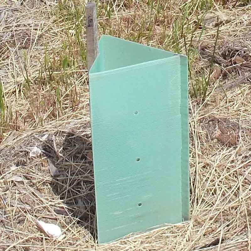 I pp hanno ondulato i protettori di plastica del tronco di Corflute Plastic Tree della guardia dell'albero