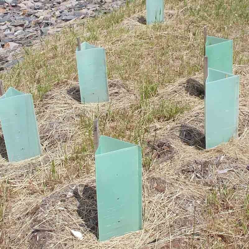 I pp hanno ondulato i protettori di plastica del tronco di Corflute Plastic Tree della guardia dell'albero