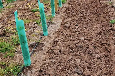 Protezione per alberi in plastica ondulata personalizzata in materiale PP per la protezione