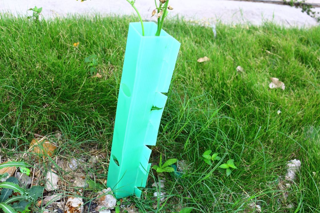 Protezione per alberi in plastica ondulata personalizzata in materiale PP per la protezione