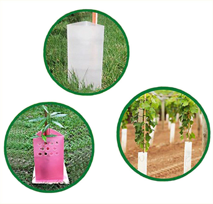 Corruone polipropilene di plastica a rotoli corrugati di plastica corrugata per alberi