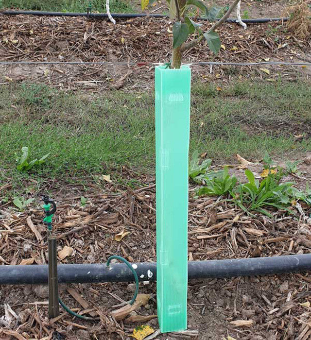 Corruone polipropilene di plastica a rotoli corrugati di plastica corrugata per alberi