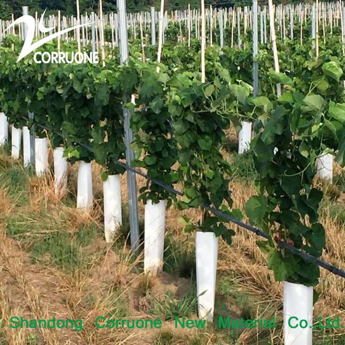 Tubo per alberi in plastica ondulata riciclabile e verde personalizzabile per piantare sostenibile