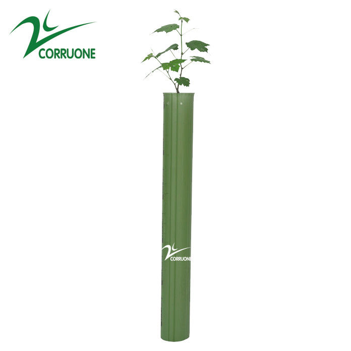 Guardie ondulate sottoposte agli UV della pianta delle guardie 3mm pp Corflute dell'albero