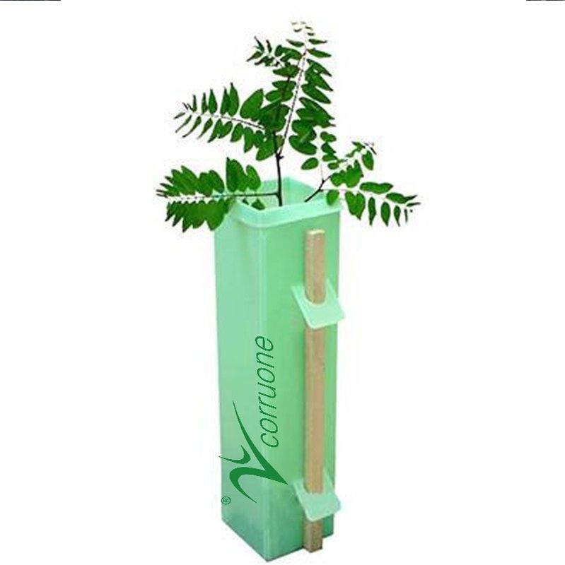 Guardie ondulate sottoposte agli UV della pianta delle guardie 3mm pp Corflute dell'albero
