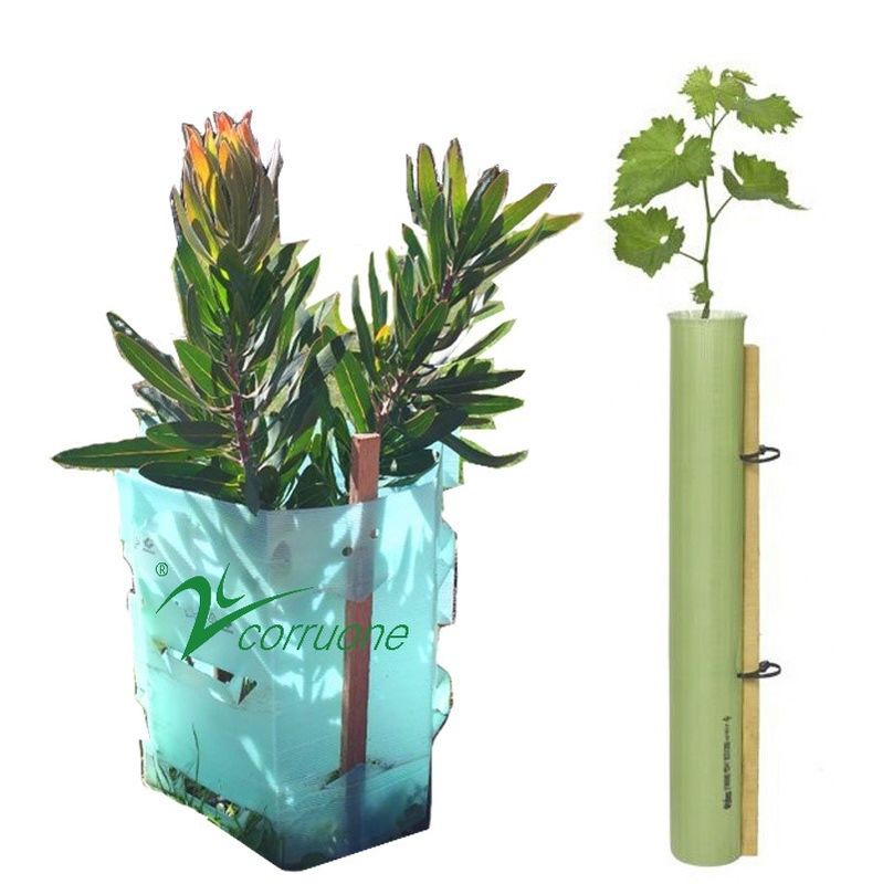 L'albero di plastica 100% di Corflute del PE rosso custodice 2mm-12mm resistenti UV