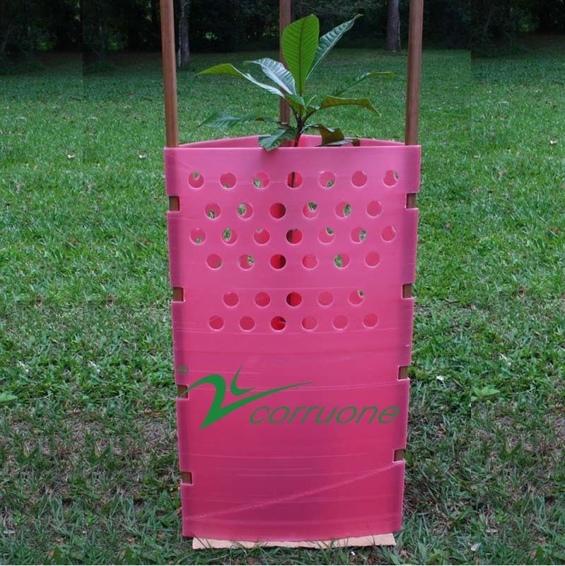 Il tronco di albero di plastica di Coroplast riguarda la guardia di plastica ondulata Protection dell'albero