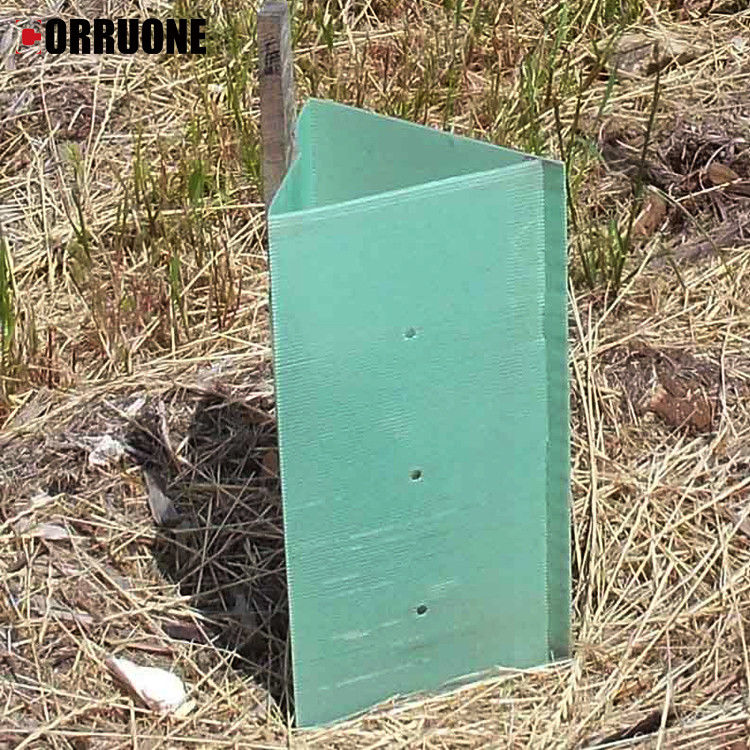 Flat Surface PP TreeSafety Corrugated Board protegge dagli animali con fiducia