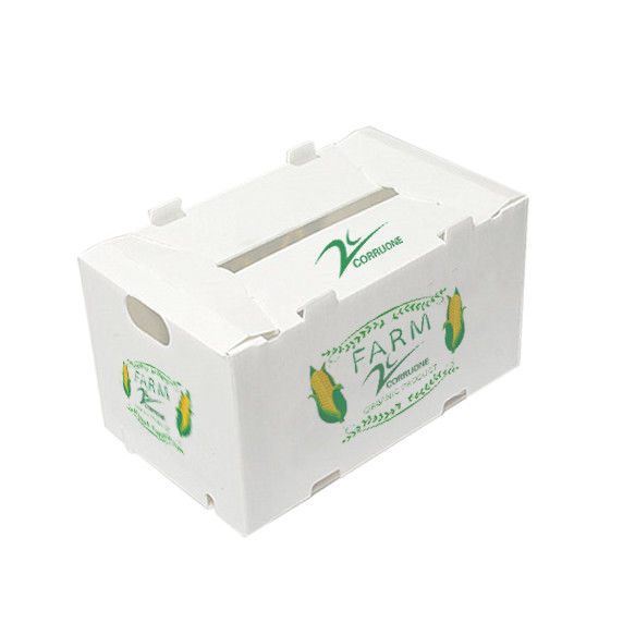 Scatole di plastica PP cartone di plastica ondulato per ortaggi e frutta