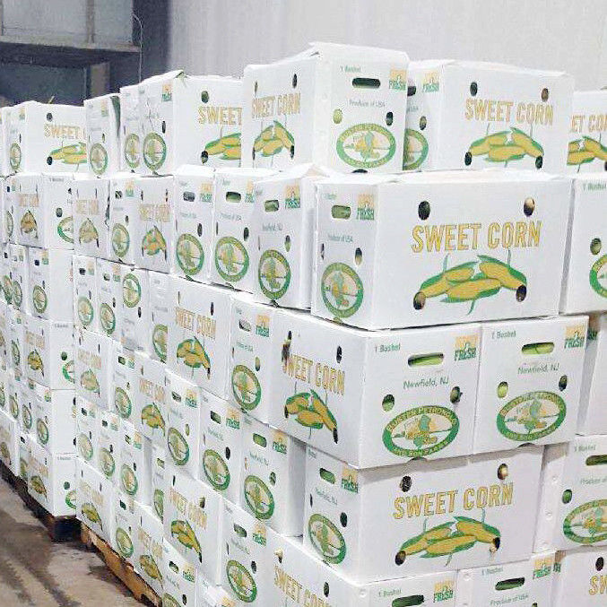 Prodotto a vendita calda pieghevole Eco-friendly Protective Sheet durable Scatola di plastica per ortaggi e frutta